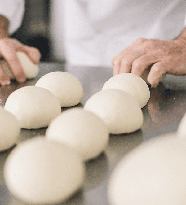 Phileo by Lesaffre, animal nutrition and health from yeast products