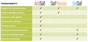 Beef Meat Profit Program | Phileo by Lesaffre