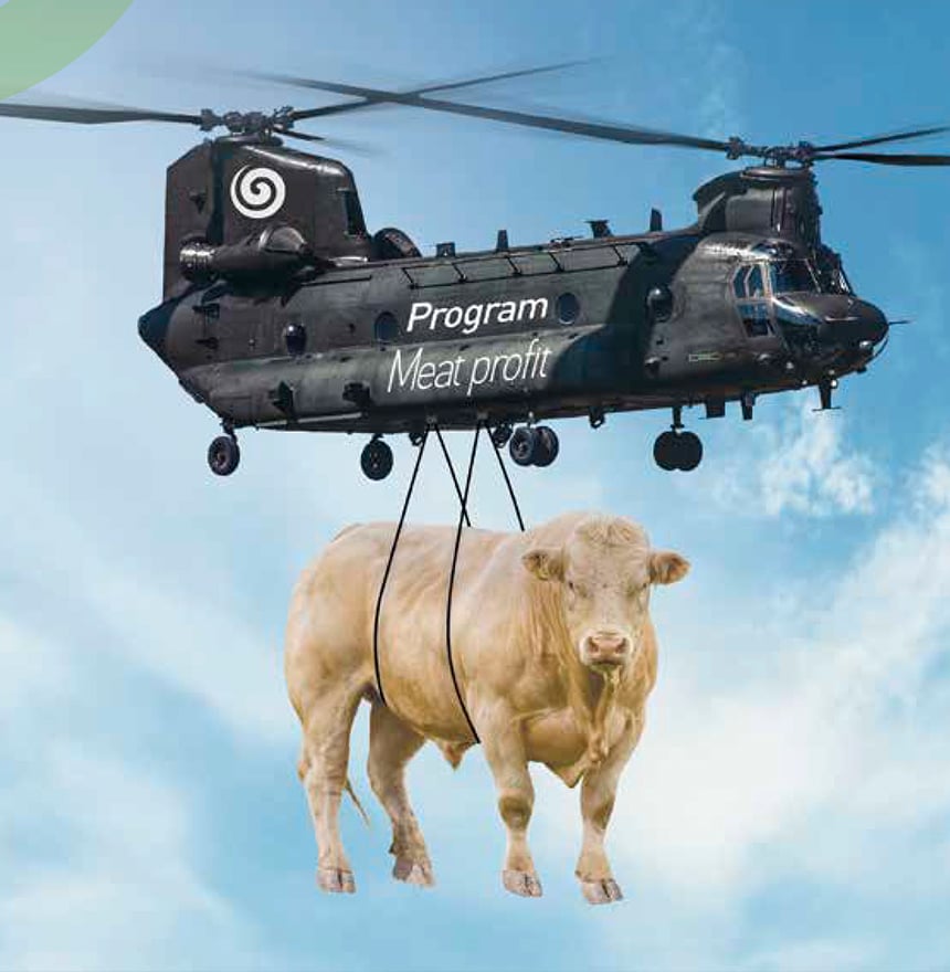 Beef Meat Profit Program | Phileo by Lesaffre