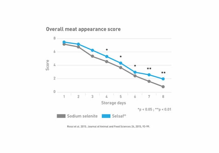 Improve Beef Cattle Meat Quality | Phileo by Lesaffre