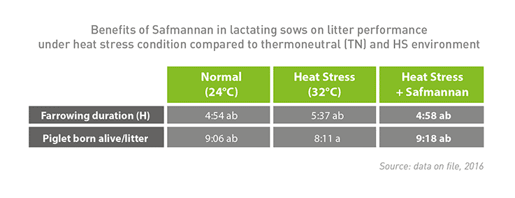 heat stress pigs