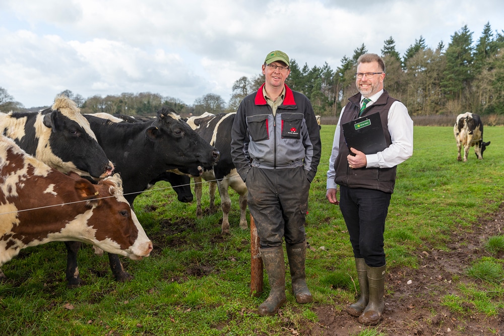 High-forage dairy diets keep cows producing