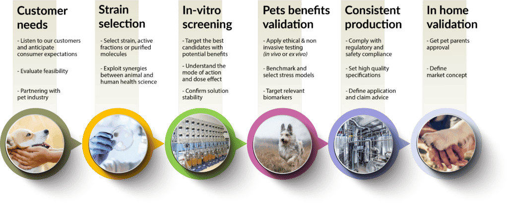 Infographic pet care development v2