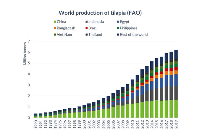 Program Aquasaf Tilapia Phileo by Lesaffre