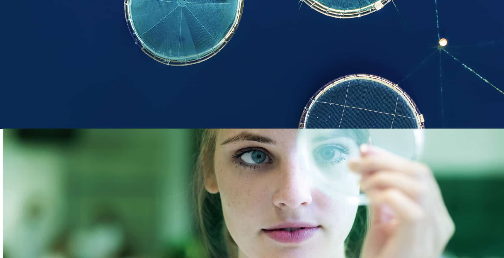 Phileo by Lesaffre : Yeast probiotics for animal nutrition and health