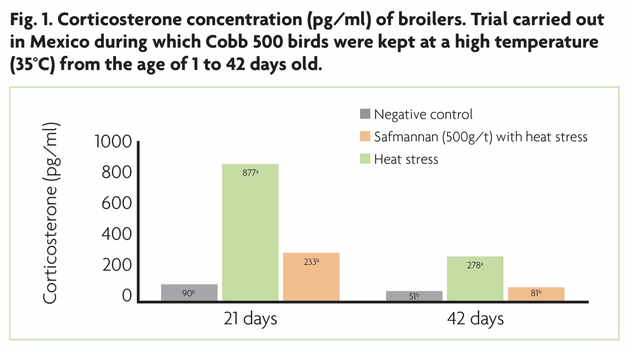 Maintaining the performance of broilers under heat stress • Phileo by