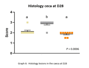 graph6