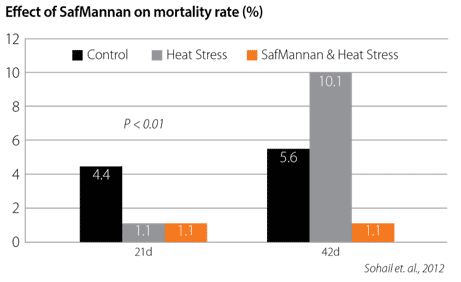 safmannan broilers