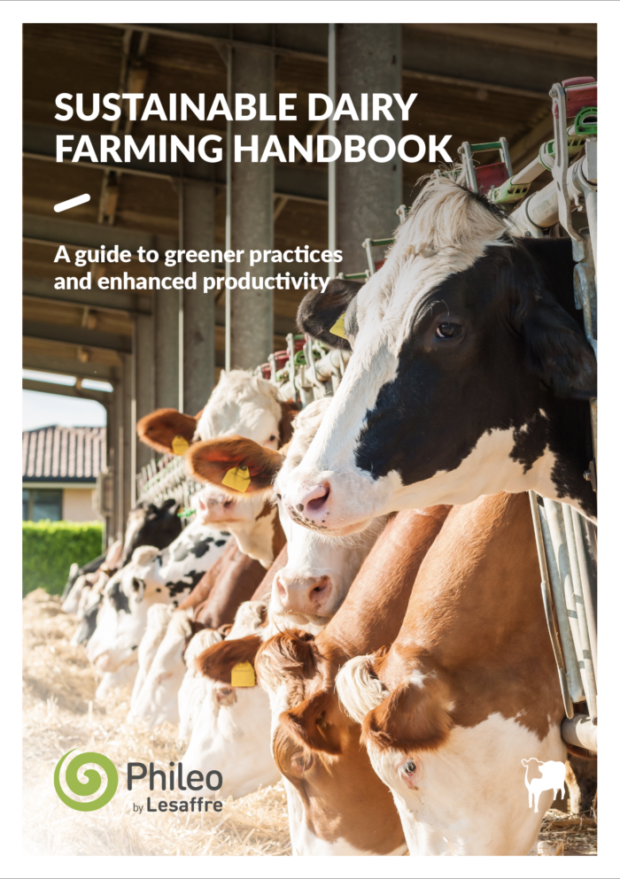 Working together for sustainable dairy farming | Phileo by Lesaffre