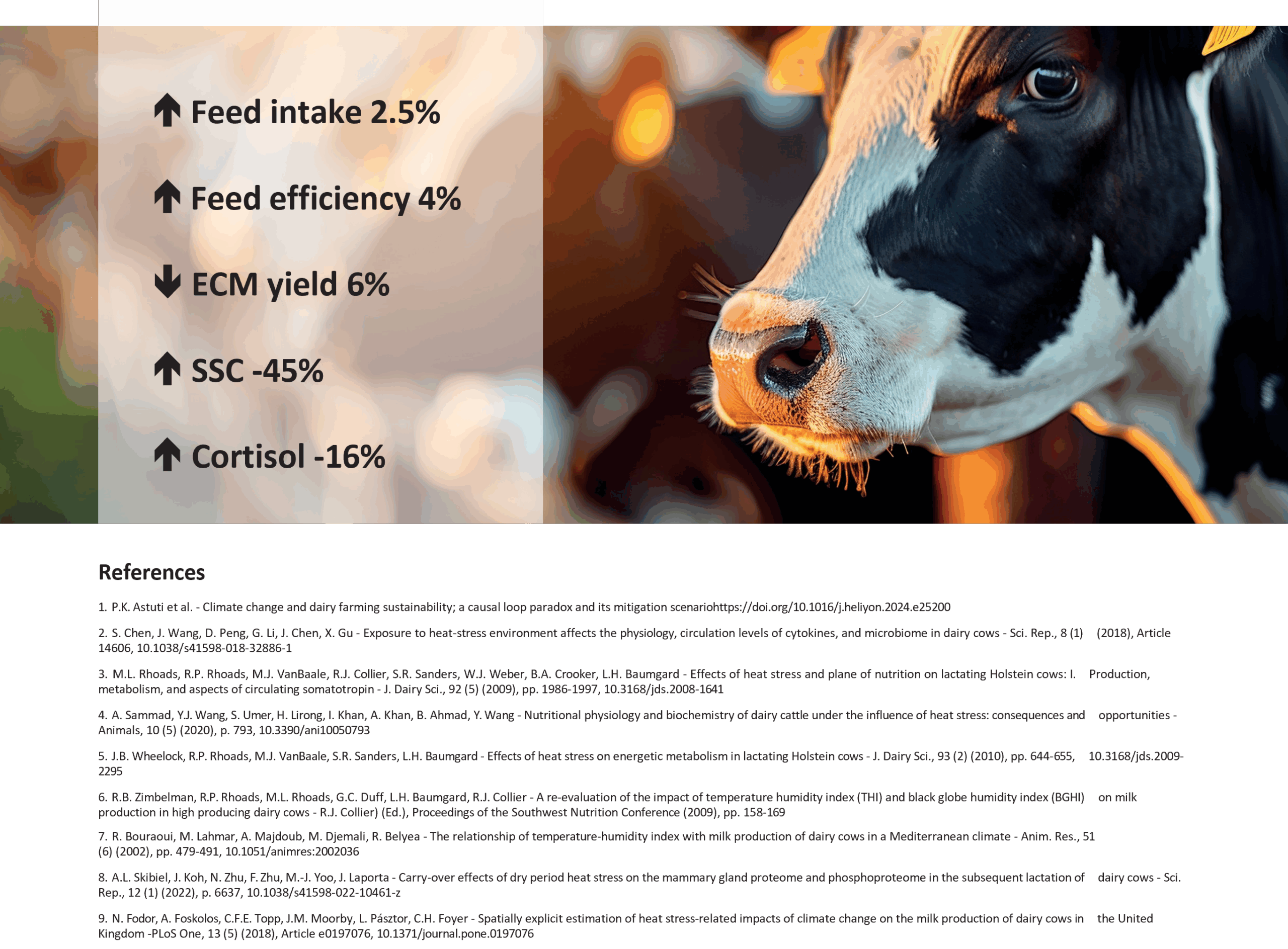 Ruminants