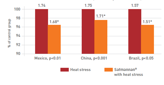Fig.4. FCR under severe heat stress (D0- D42, THI 32 – 33) Fig.4. FCR under severe heat stress (D0- D42, THI 32 – 33)