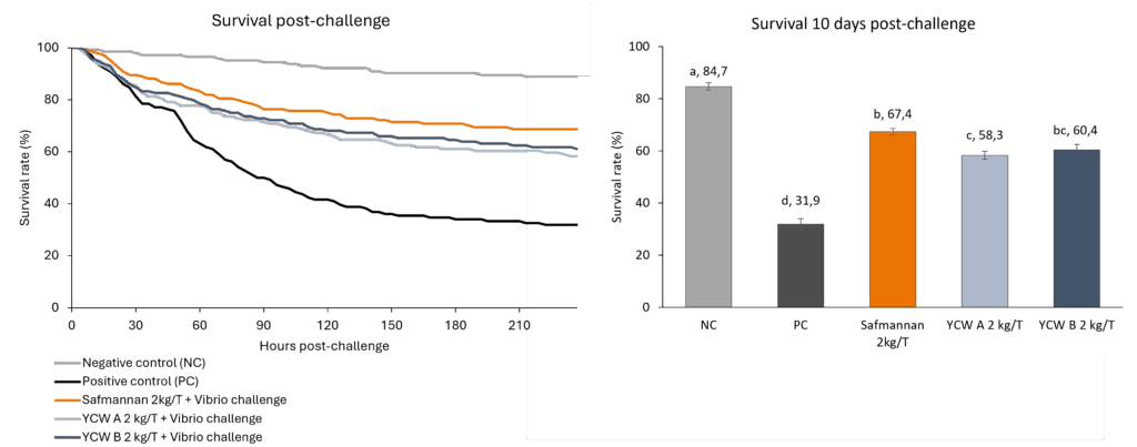 Figure 1. Survival rate following EMS infection (mean ± S.E.). Different letters indicate statistically significant differences, p Figure 1. Survival rate following EMS infection (mean ± S.E.). Different letters indicate statistically significant differences, p