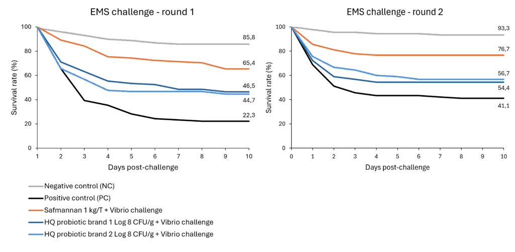 Figure 3. Survival rates after two separate EMS infection trials in shrimp Figure 3. Survival rates after two separate EMS infection trials in shrimp