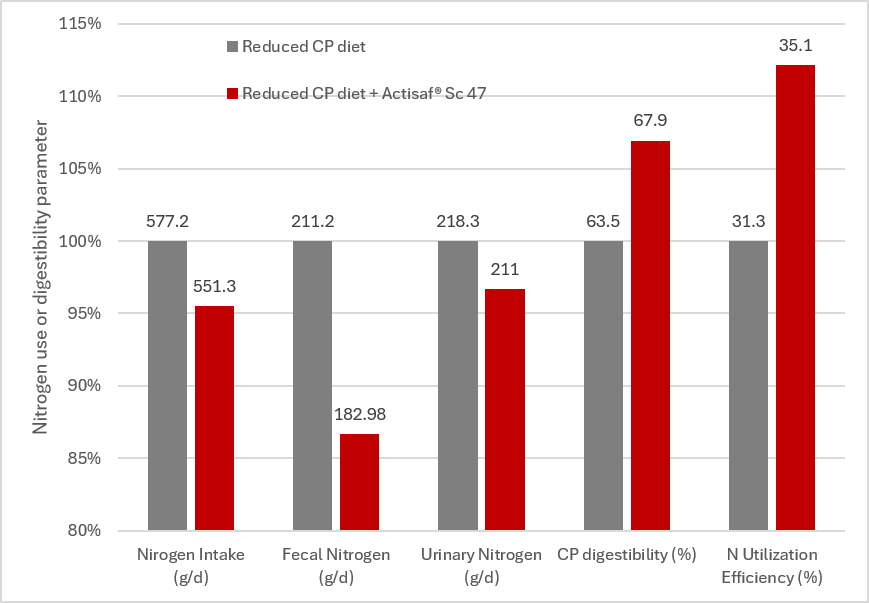 Effect of Actisaf® Sc 47 supplementation on protein digestibility and nitrogen use in a reduced dietary protein diet in dairy cows (adapted from Salah et al., 2026a)